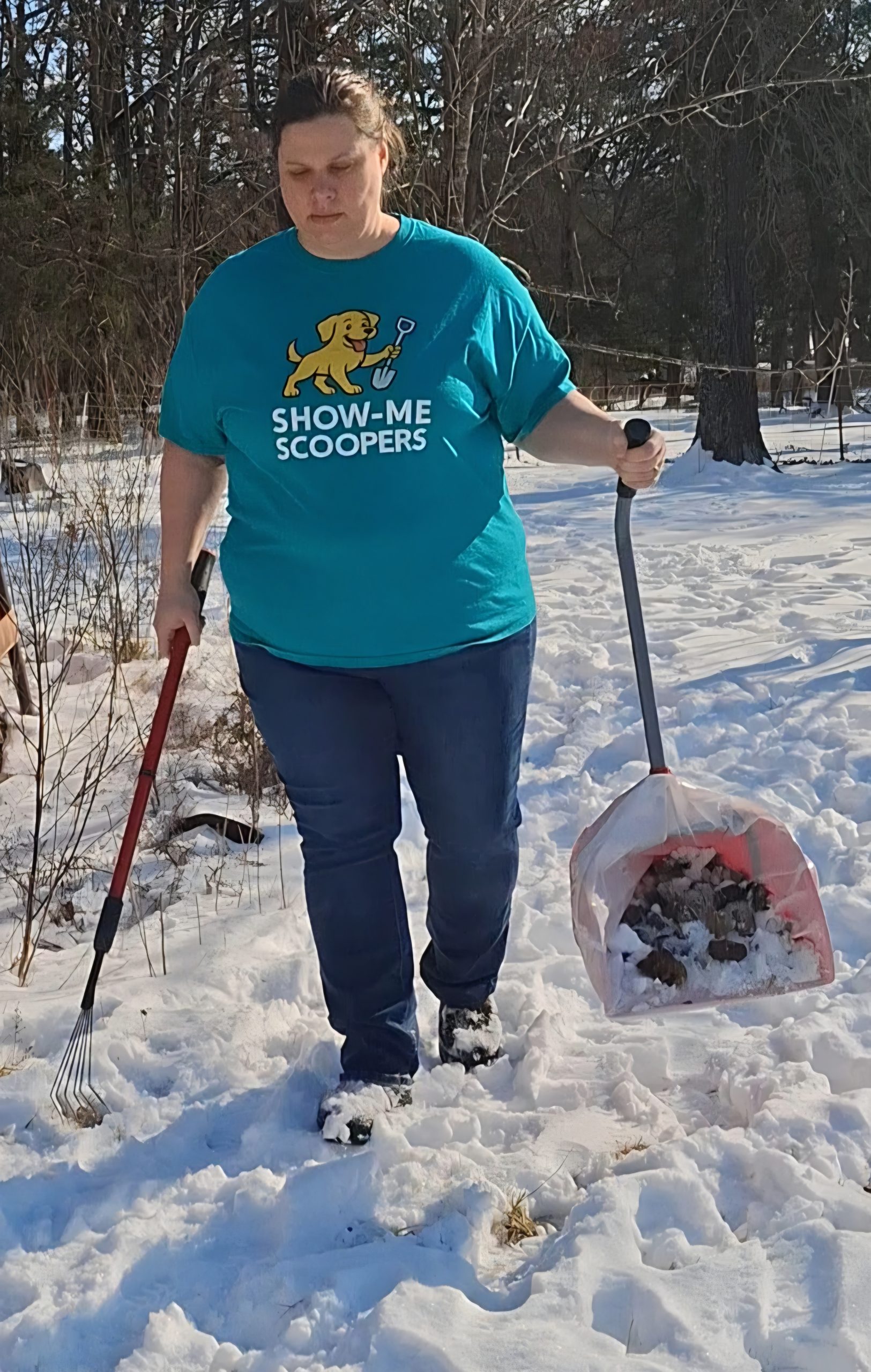Winter Dog Poop Cleanup in Springfield