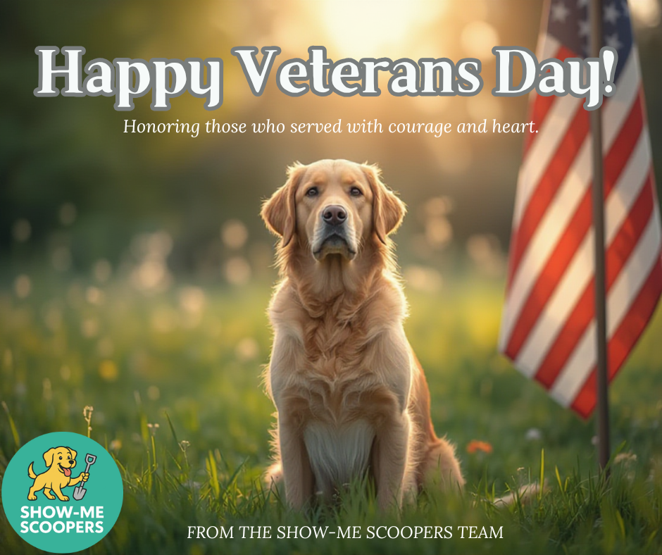 Honoring Our Heroes: Year-Round 10% Veteran Discount on Pet Waste Removal in Springfield